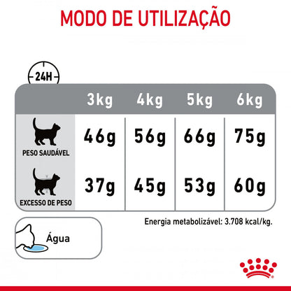 Royal Canin Dental - Ração seca para gatos adultos para ajudar a apoiar a saúde dentária