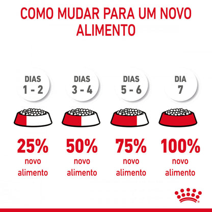 Royal Canin Dental - Ração seca para gatos adultos para ajudar a apoiar a saúde dentária