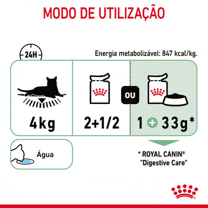 Royal Canin Digestive Care - Alimento húmido em molho para gatos com estômago sensível