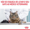 Royal Canin Digestive Care - Ração seca para gatos com estômago sensível
