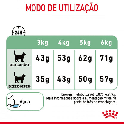 Royal Canin Digestive Care - Ração seca para gatos com estômago sensível