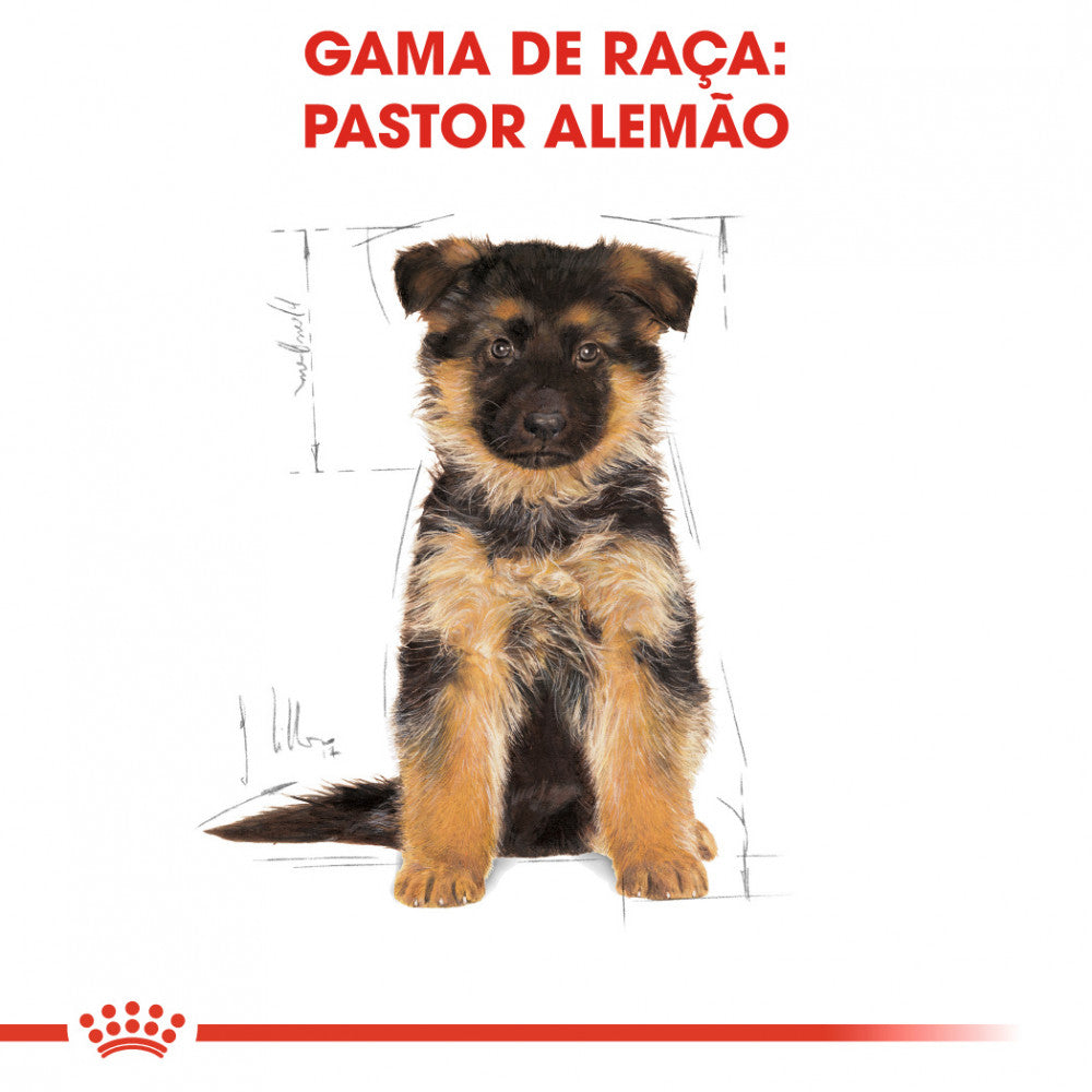 Royal Canin Pastor Alemão Puppy - Ração seca para cachorro de raça