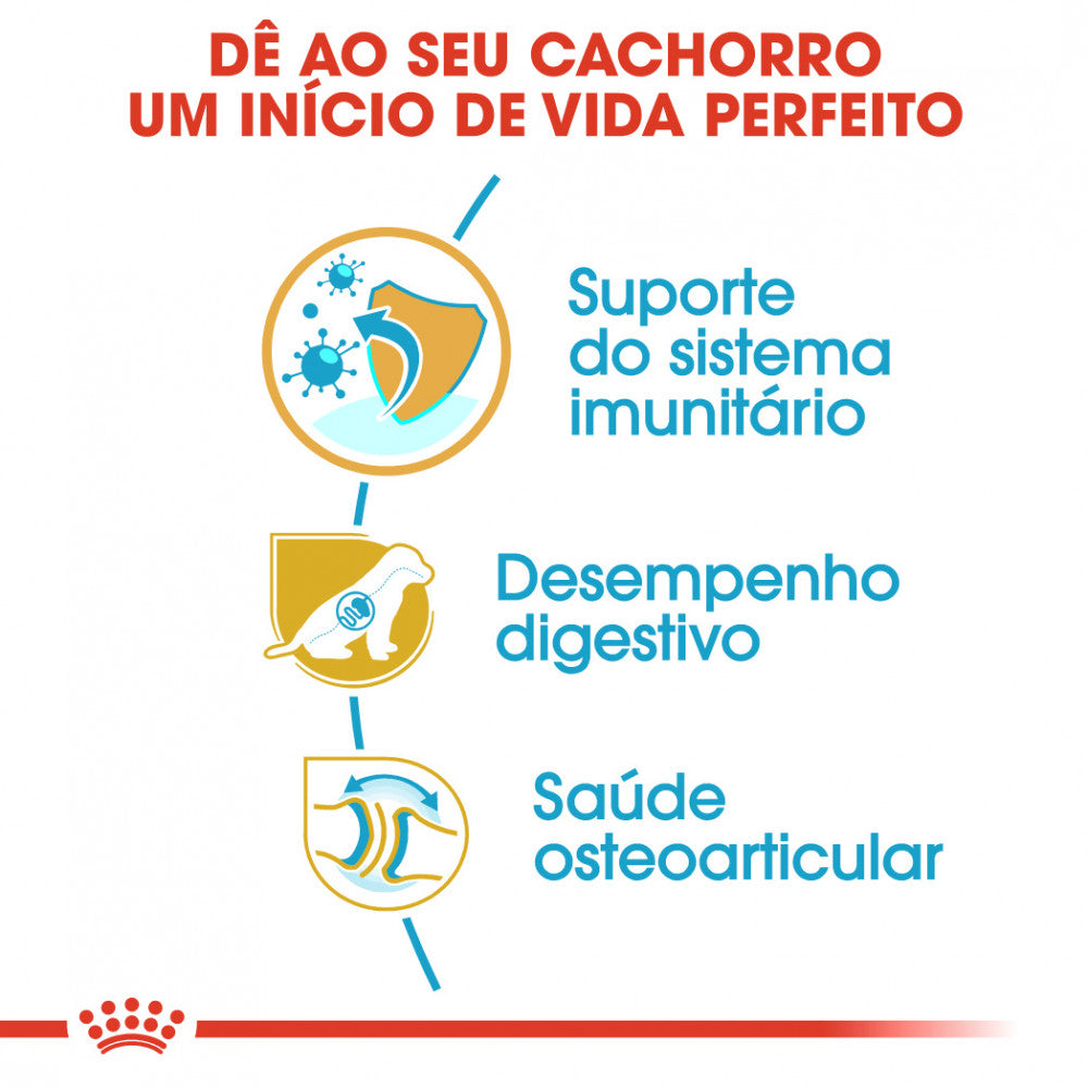 Royal Canin Pastor Alemão Puppy - Ração seca para cachorro de raça