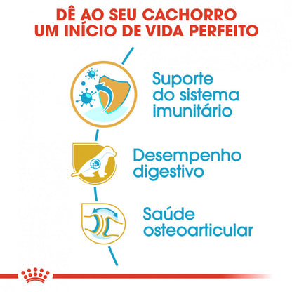 Royal Canin Pastor Alemão Puppy - Ração seca para cachorro de raça