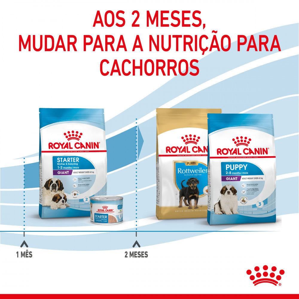 Royal Canin Starter Mother & Babydog Giant - Ração seca para cadelas gestantes/lactantes e cachorros de porte gigante até aos 2 meses