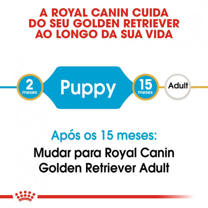 Royal Canin Golden Retriever Puppy - Ração seca para cachorro de raça