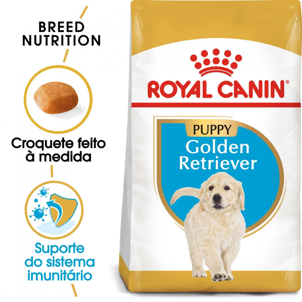 Royal Canin Golden Retriever Puppy - Ração seca para cachorro de raça