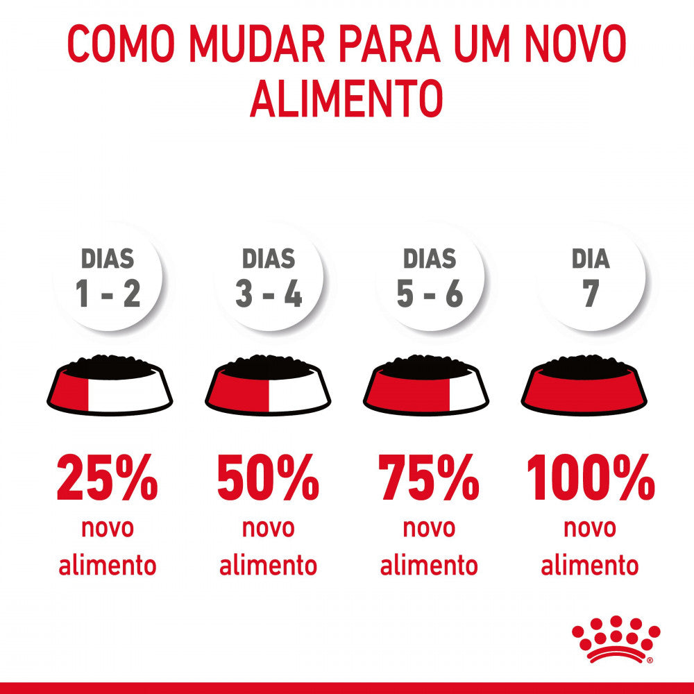 Royal Canin Hair & Skin - Alimento húmido em geleia para gatos com sensibilidades da pele e do pelo
