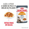 Royal Canin Hair & Skin - Alimento húmido em geleia para gatos com sensibilidades da pele e do pelo