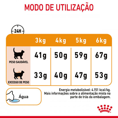 Royal Canin Hair & Skin - Ração seca para gatos com sensibilidades da pele e do pelo
