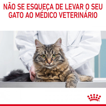 Royal Canin Hairball Care - Alimento húmido em geleia para gatos para controlo das bolas de pelo