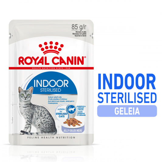 Royal Canin Indoor Sterilised - Alimento húmido em geleia para gatos adultos esterilizados