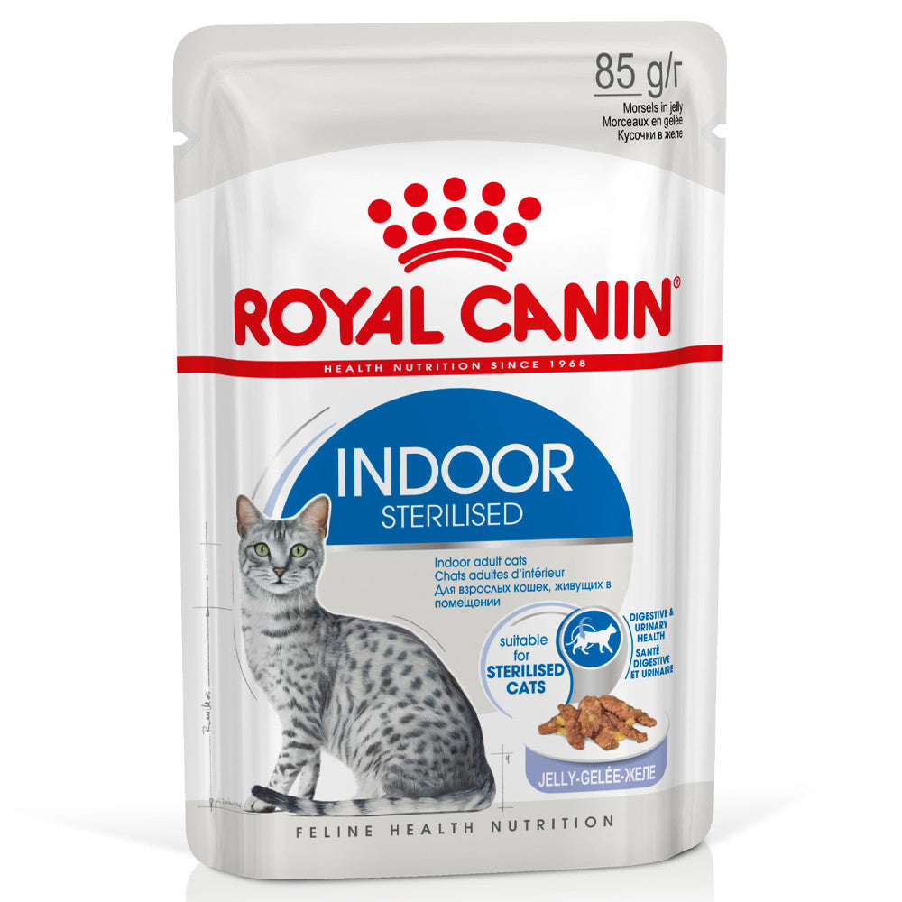 Royal Canin Indoor Sterilised - Alimento húmido em geleia para gatos adultos esterilizados