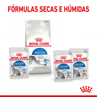 Royal Canin Indoor Sterilised - Alimento húmido em geleia para gatos adultos esterilizados