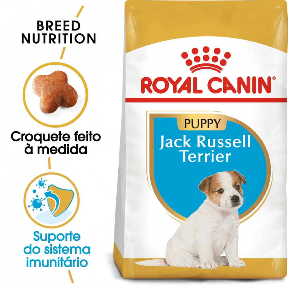 Royal Canin Jack Russell Puppy - Ração seca para cachorro de raça