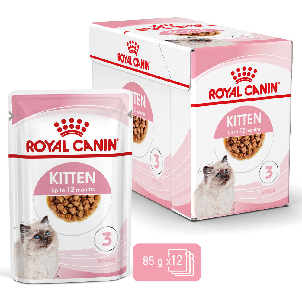 Royal Canin Kitten - Alimento húmido em molho para gatinhos