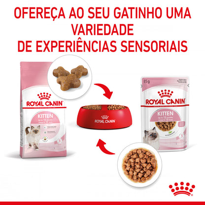 Royal Canin Kitten - Alimento húmido em molho para gatinhos