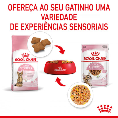 Royal Canin Kitten Sterilised - Alimento húmido em geleia para gatinhos esterilizados