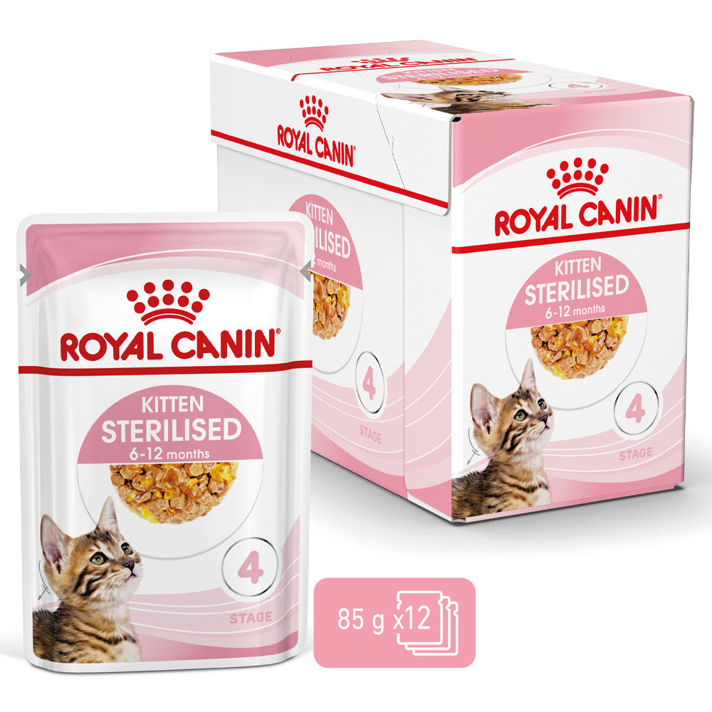 Royal Canin Kitten Sterilised - Alimento húmido em geleia para gatinhos esterilizados