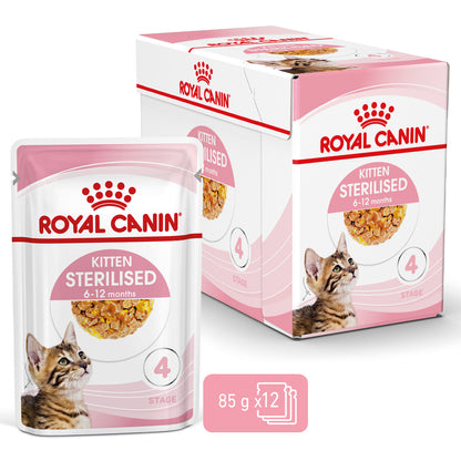 Royal Canin Kitten Sterilised - Alimento húmido em geleia para gatinhos esterilizados