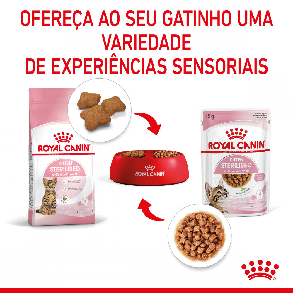 Royal Canin Kitten Sterilised - Alimento húmido em molho para gatinhos esterilizados
