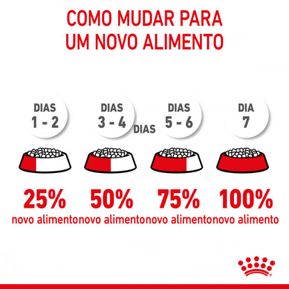 Royal Canin Kitten Sterilized - Ração seca para gatinhos esterilizados