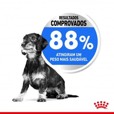 Royal Canin Light Weight Care Mini - Ração seca para cão adulto de porte pequeno para controlo de peso