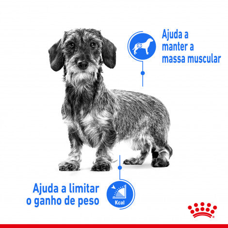 Royal Canin Light Weight Care Mini - Ração seca para cão adulto de porte pequeno para controlo de peso