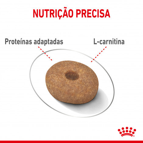 Royal Canin Light Weight Care Mini - Ração seca para cão adulto de porte pequeno para controlo de peso