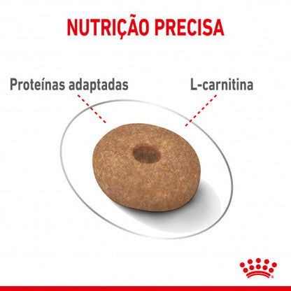 Royal Canin Light Weight Care Mini - Ração seca para cão adulto de porte pequeno para controlo de peso