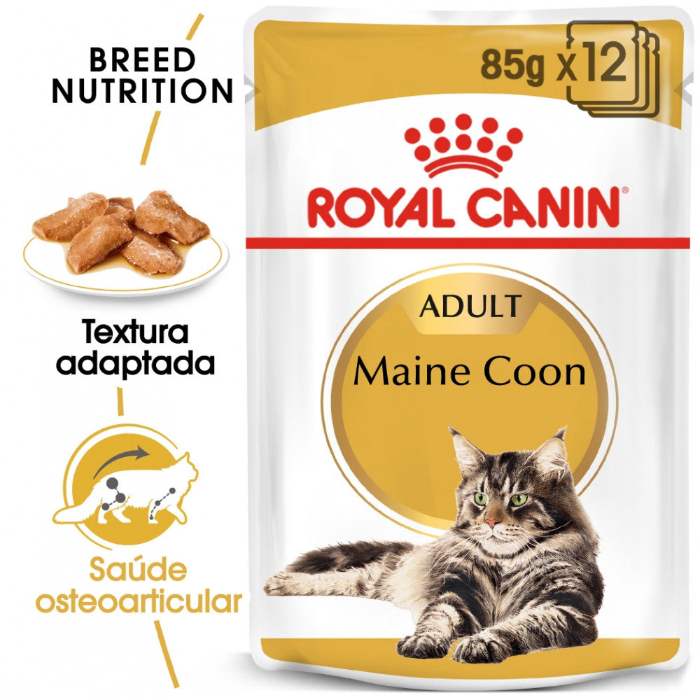 Royal Canin Maine Coon - Alimento húmido em molho para gatos de raça