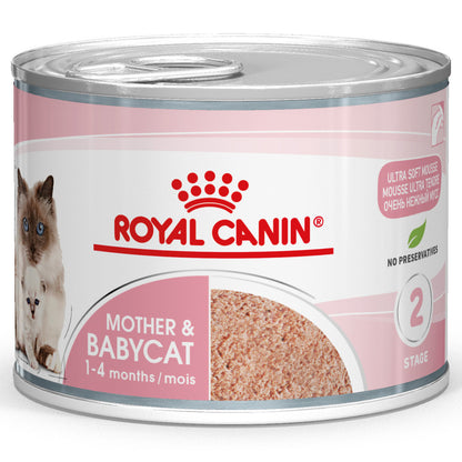 Royal Canin Mother&Babycat - Alimento húmido em mousse para gatinhos até 4 meses e gatas gestantes/lactantes