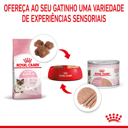 Royal Canin Mother&Babycat - Alimento húmido em mousse para gatinhos até 4 meses e gatas gestantes/lactantes