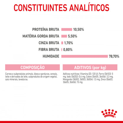 Royal Canin Mother&Babycat - Alimento húmido em mousse para gatinhos até 4 meses e gatas gestantes/lactantes