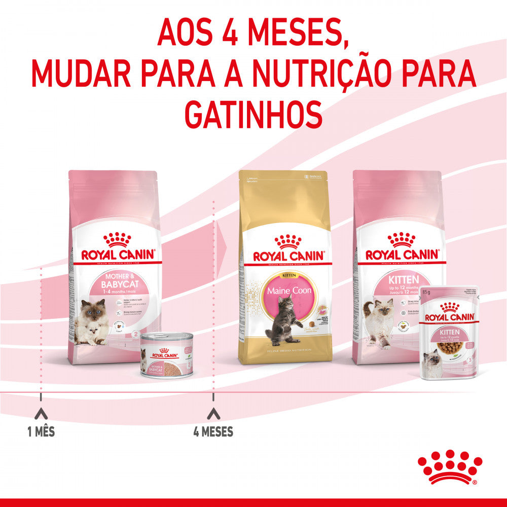Royal Canin Mother&Babycat - Alimento húmido em mousse para gatinhos até 4 meses e gatas gestantes/lactantes