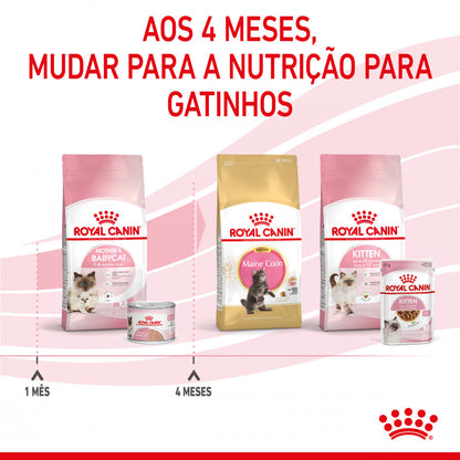 Royal Canin Mother&Babycat - Alimento húmido em mousse para gatinhos até 4 meses e gatas gestantes/lactantes
