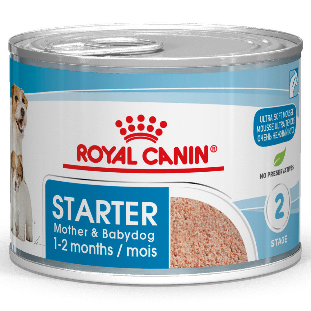 Royal Canin Starter Mother & Babydog - Mousse ultra suave para cadelas gestantes/lactantes e cachorros até aos 2 meses