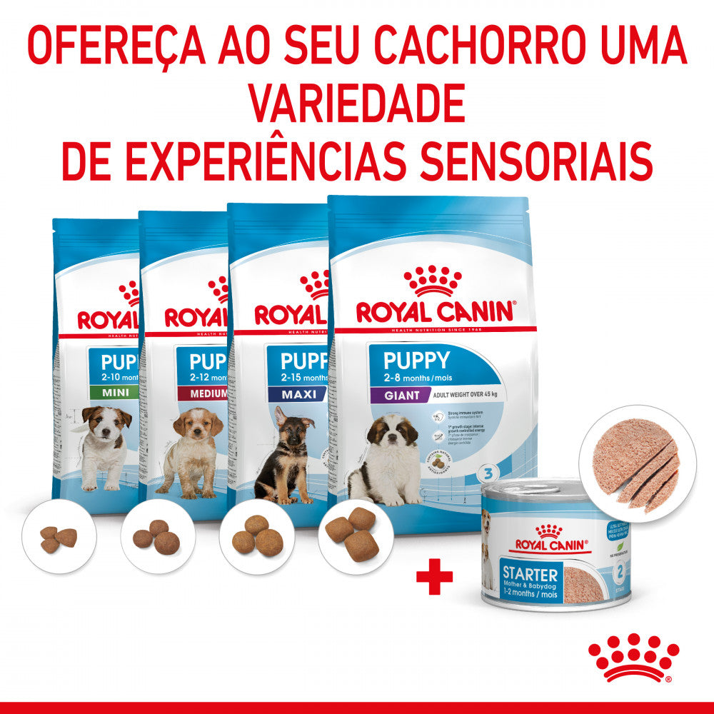 Royal Canin Starter Mother & Babydog - Mousse ultra suave para cadelas gestantes/lactantes e cachorros até aos 2 meses