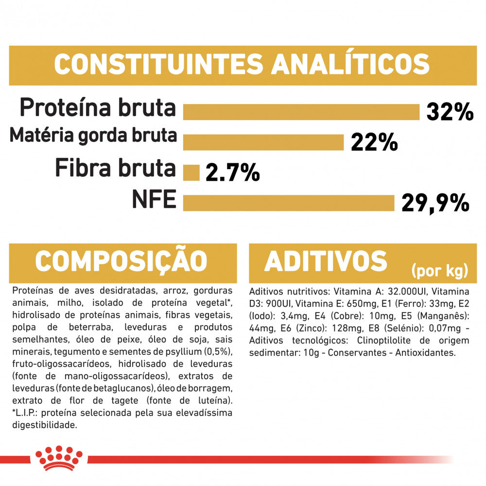 Royal Canin Persian Kitten - Ração seca para gatinhos de raça