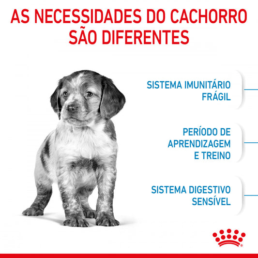 Royal Canin Puppy Medium - Ração seca para cachorro de porte médio