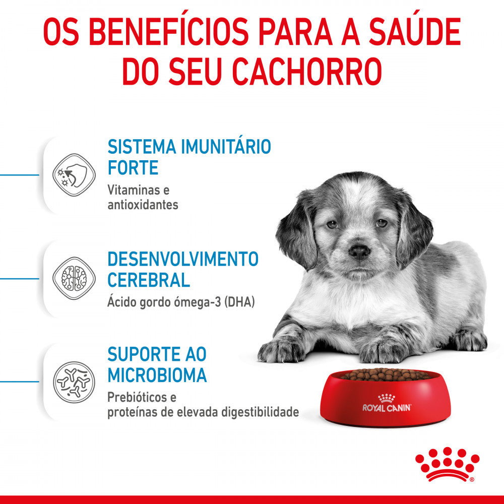 Royal Canin Puppy Medium - Ração seca para cachorro de porte médio