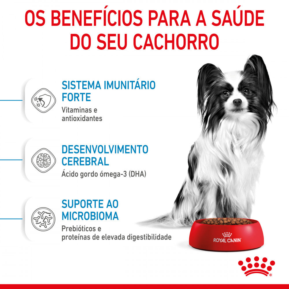 Royal Canin Puppy X-Small - Ração seca para cachorro de porte muito pequeno