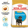Load image into Gallery viewer, Royal Canin Rottweiler Puppy - Ração seca para cachorro de raça