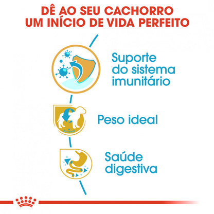 Royal Canin Schnauzer Puppy - Ração seca para cachorro de raça