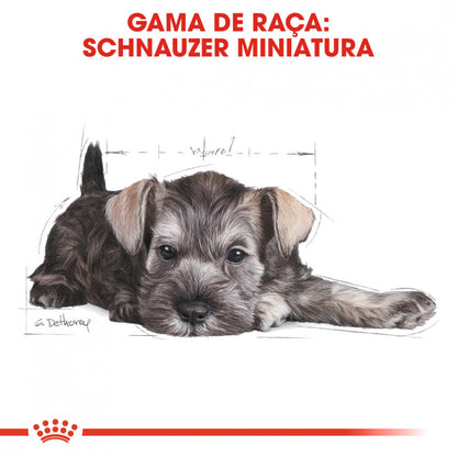 Royal Canin Schnauzer Puppy - Ração seca para cachorro de raça