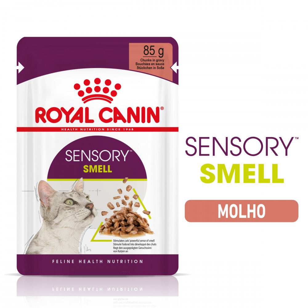 Royal Canin Sensory Smell - Alimento húmido para gato que ajuda a estimular o sentido de olfato