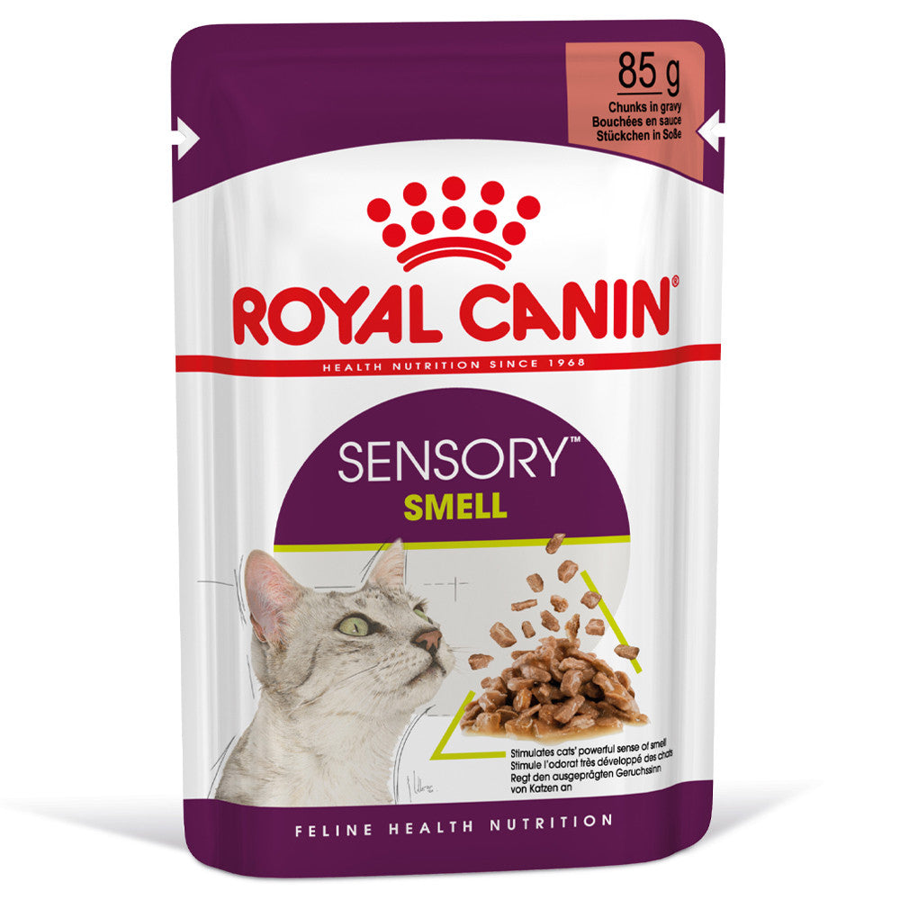 Royal Canin Sensory Smell - Alimento húmido para gato que ajuda a estimular o sentido de olfato