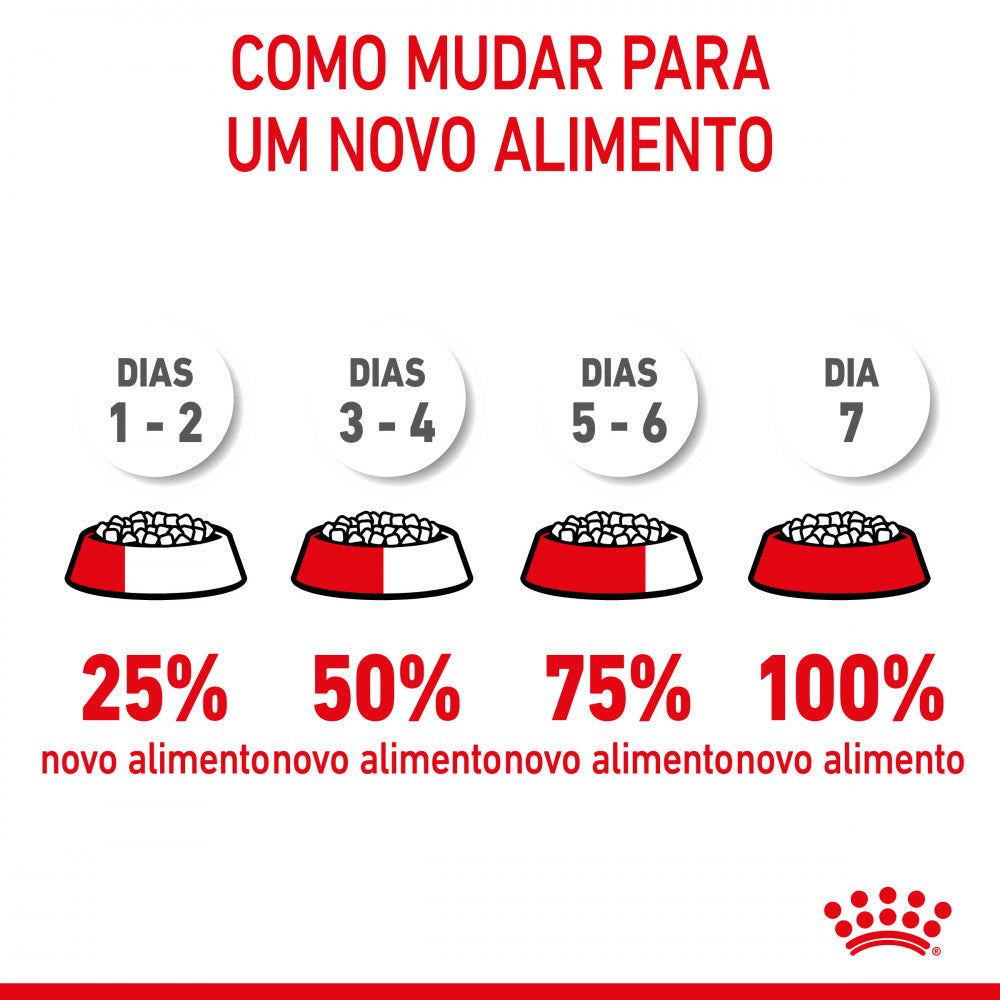 Royal Canin Starter Mother & babydog Medium - Ração seca para cadelas gestantes/lactantes