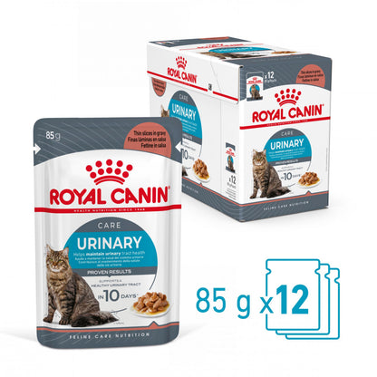 Royal Canin Urinary Care - Alimento húmido em molho para gatos com sensibilidade urinária