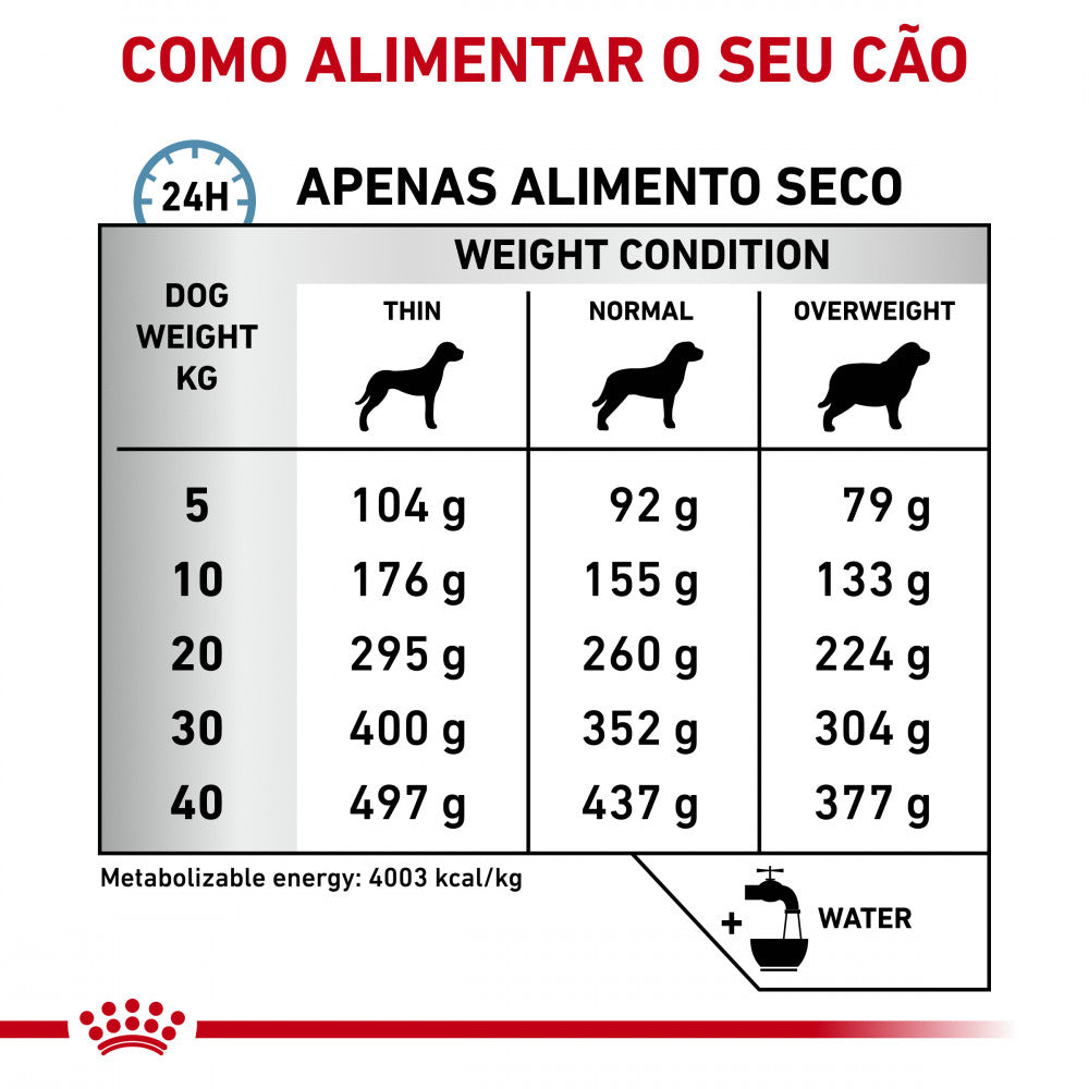 Royal Canin VET Anallergenic - Ração seca para cão com alergias e intolerâncias alimentares
